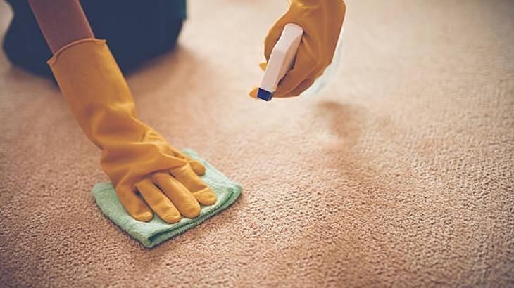 Leke Çıkarıcı Ürünler